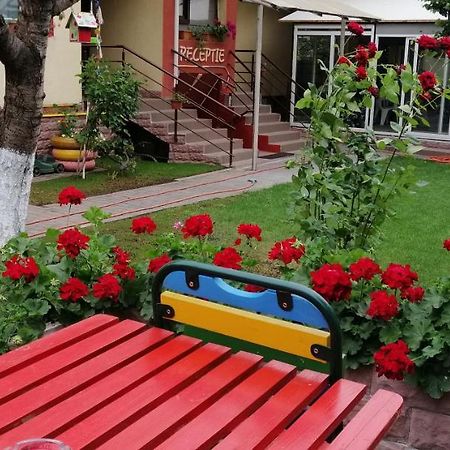 Copou Inn Iasi Exterior foto