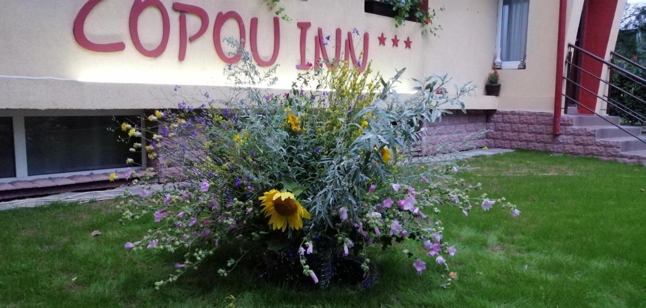 Copou Inn Iasi Exterior foto